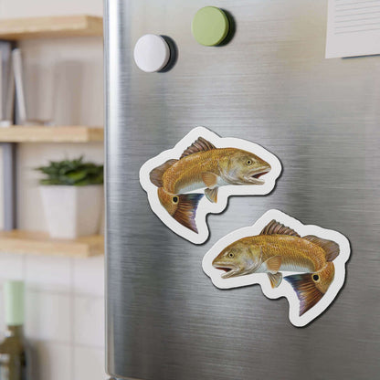 Red Drum fish shaped magnets on a fridge, perfect for adding fish décor to your kitchen space.