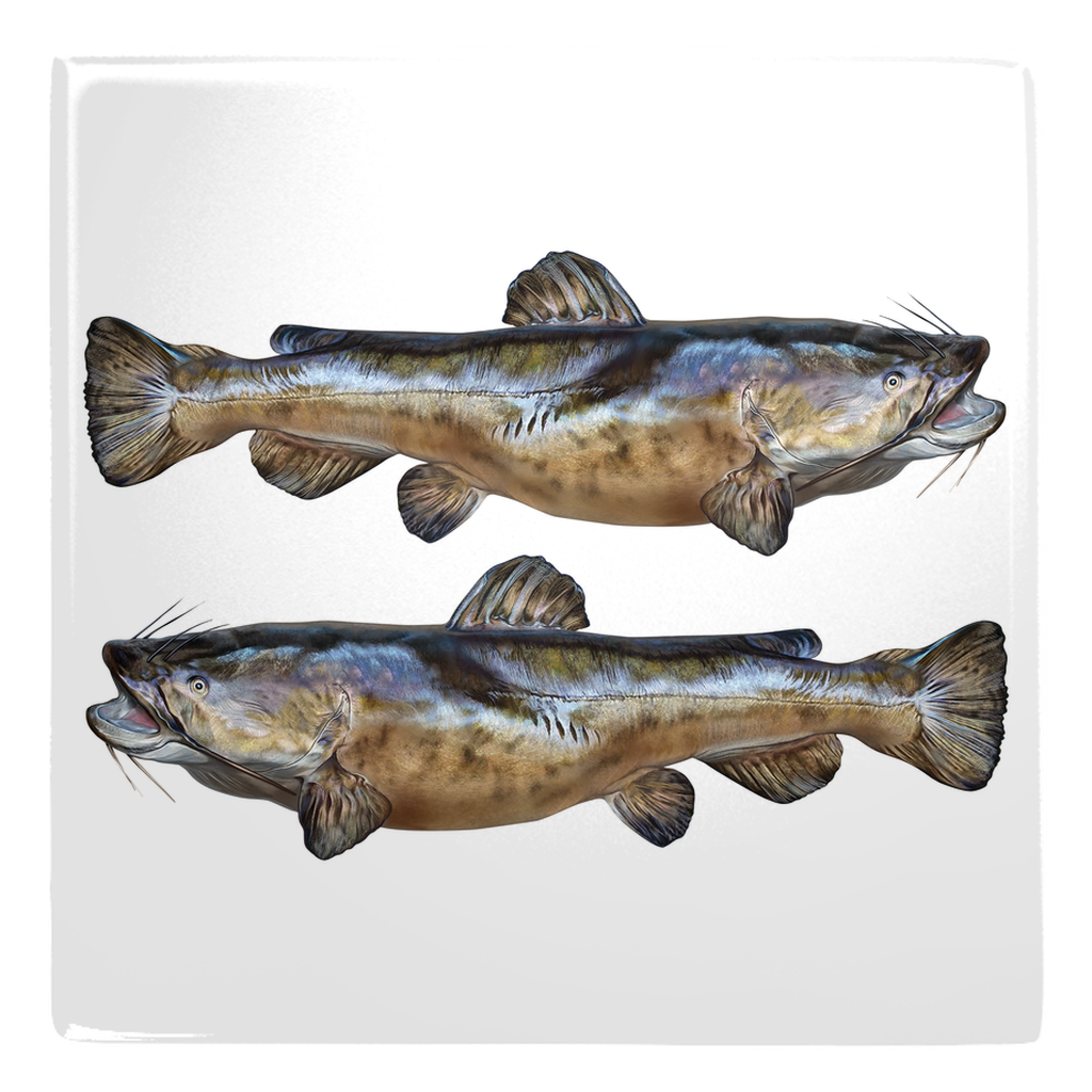 Two realistic catfish metal magnets on a white background, perfect for decorating any magnetic surface with a touch of marine flair.