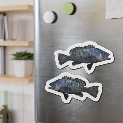 Black Seabass shaped magnets on a fridge, perfect as fun kitchen magnets or fish décor for fishing enthusiasts.