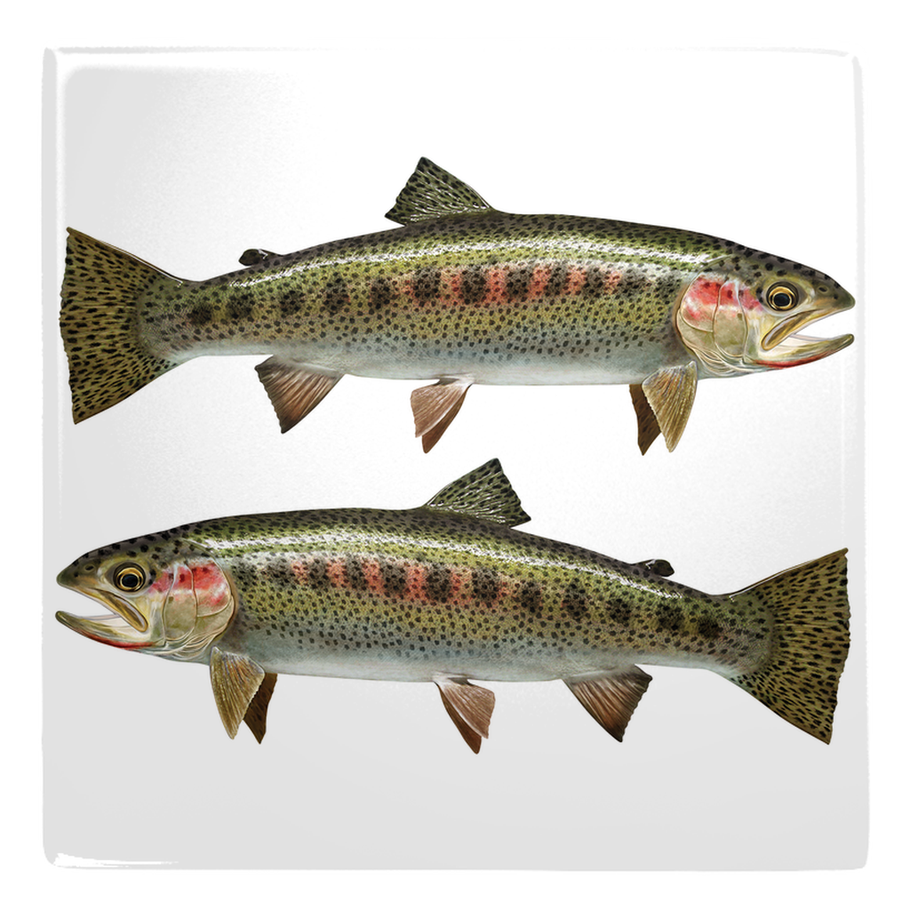 Mixed Trout Metal Magnet 2.