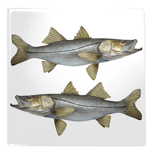 Two fish shaped magnets, perfect for fun fridge décor.