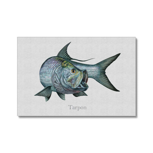 Tarpon | Wrapped Canvas