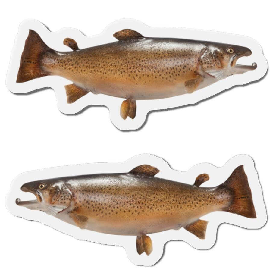 Brown Trout fish shaped magnets pair for fun kitchen décor