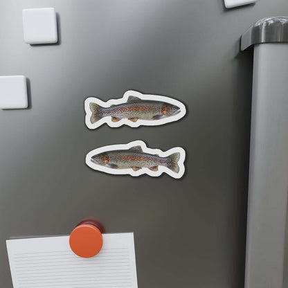 Rainbow Trout fish shaped magnets on a gray refrigerator door.