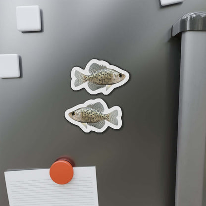 Crappie fish shaped magnets on fridge, perfect for fish décor and fun fridge magnets enthusiasts.