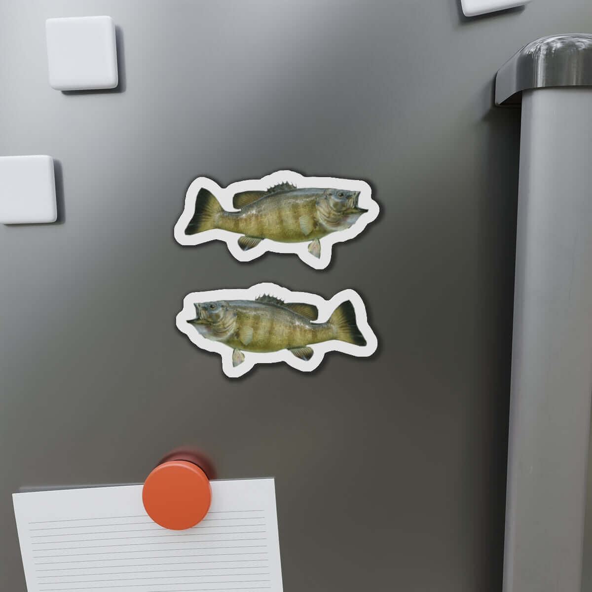 Smallmouth Bass fish magnets on refrigerator door, showcasing fish décor with a natural flair. Perfect fun fridge magnets for fishing fans.