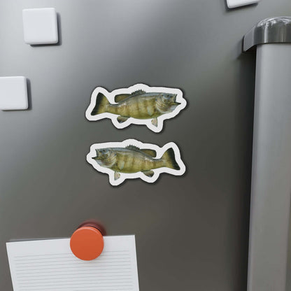 Smallmouth Bass fish magnets on refrigerator door, showcasing fish décor with a natural flair. Perfect fun fridge magnets for fishing fans.