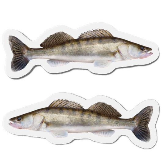 Walleye Fish Shaped Magnets for Fun Fridge Décor