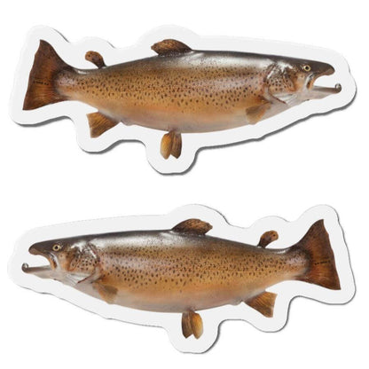 Brown Trout fish shaped magnets with left and right-facing designs for fun kitchen décor and fishing enthusiasts.