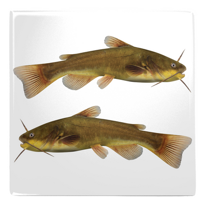 Two colorful catfish metal magnets with a realistic design against a white background. Perfect for adding flair to any metallic surface.