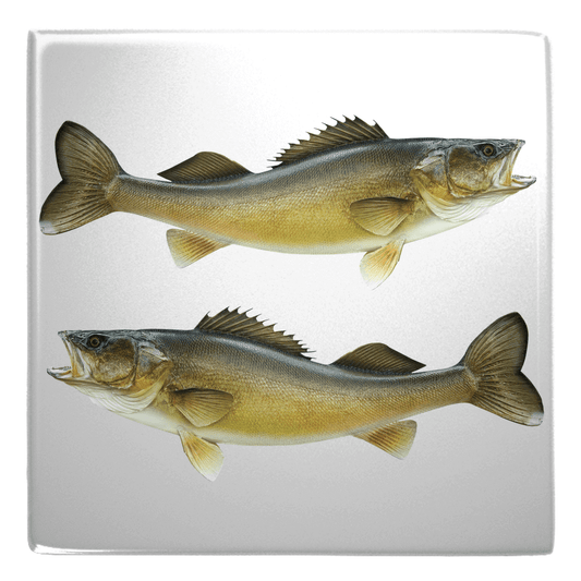 Two walleye fish shaped magnets perfect for fun fridge décor