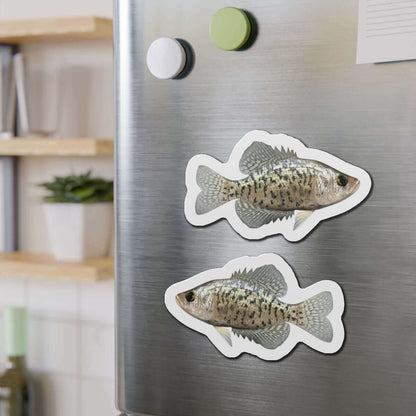 Crappie Fish Shaped Magnets on Fridge in Kitchen Décor