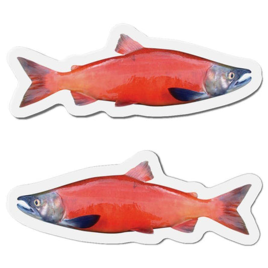 Coho Salmon fish-shaped magnets, left and right-facing designs, perfect for fishing fans and nature lovers