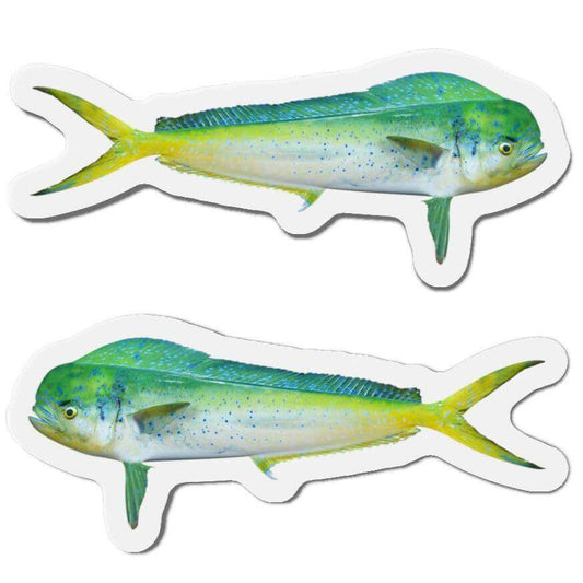 Mahi-Mahi fish shaped magnets for fridge décor in left and right-facing designs