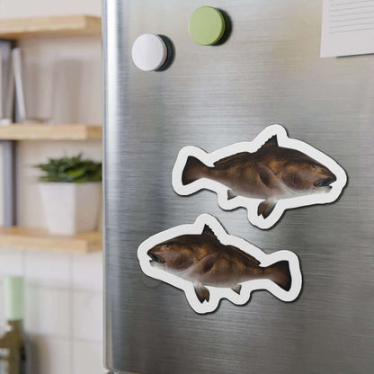 Black Drum fish fridge magnets on a kitchen refrigerator door.