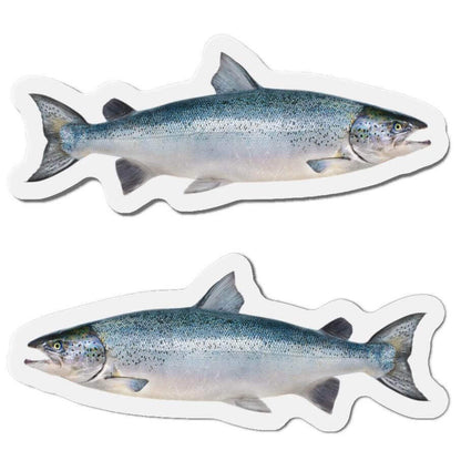 Atlantic Salmon fish shaped magnets for fun fridge décor