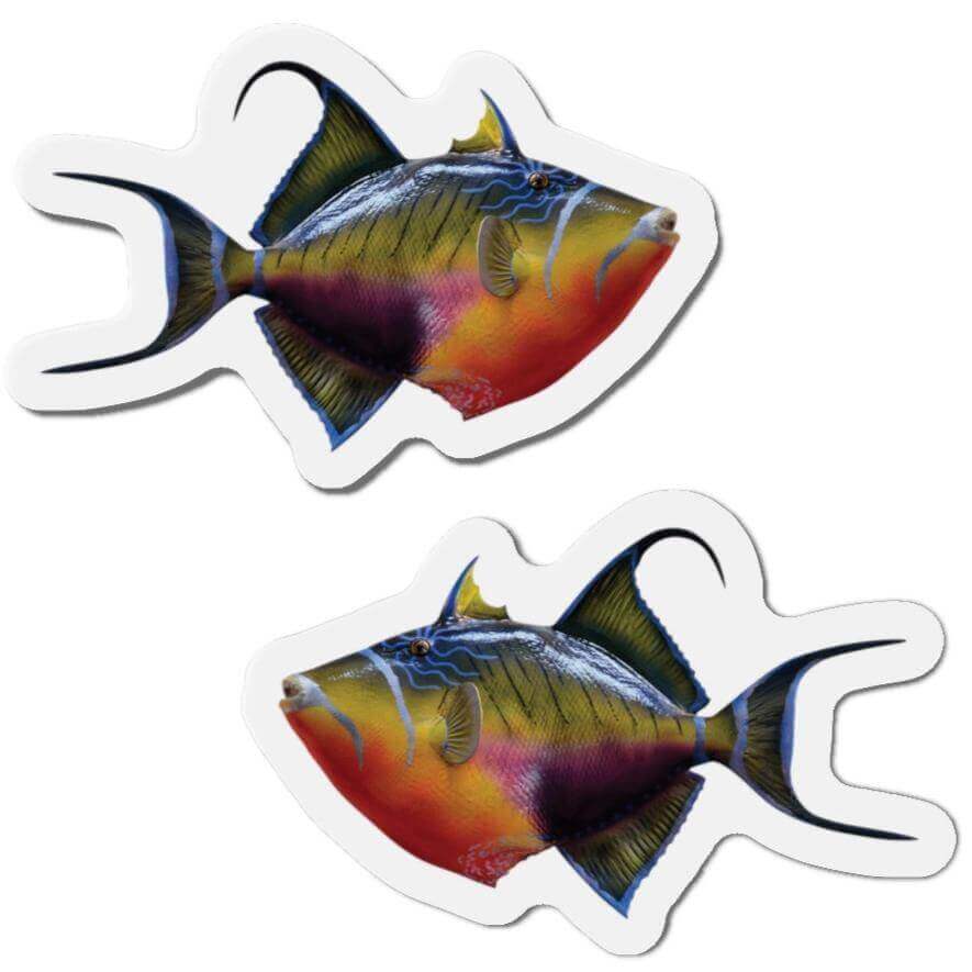 Colorful Triggerfish shaped magnets for fun fridge décor, perfect for fishing enthusiasts and nature lovers.