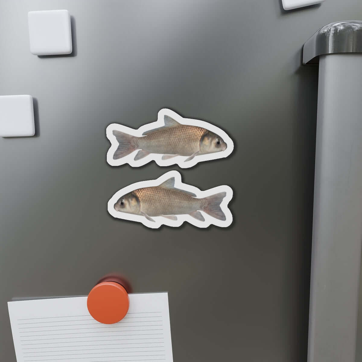 Black Buffalo fish shaped magnets on a fridge, showcasing fun fish décor for fishing enthusiasts.