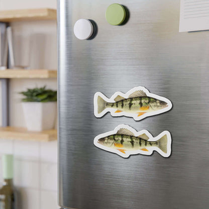 Yellow Perch fish shaped magnets on refrigerator, ideal for fishing fans and fun kitchen décor.