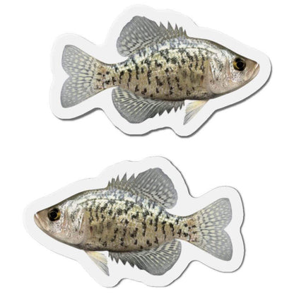 Crappie Fish Shaped Magnets for Fridge Decor