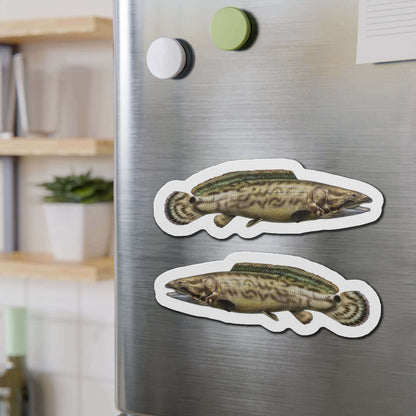 Bowfin fish shaped magnets on a refrigerator, perfect for fishing fans and fun fridge décor.