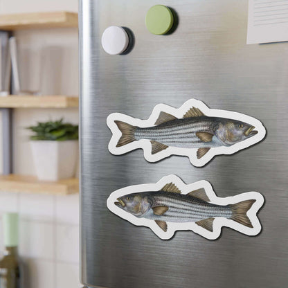 Striped Bass fish magnets on refrigerator, adding fun fish décor to kitchen.