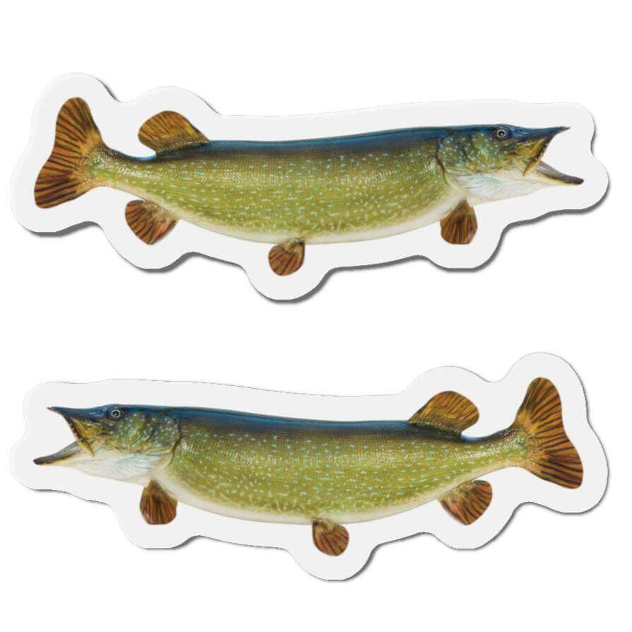 Northern Pike fish shaped magnets, perfect for fishing fans and fun fridge décor.