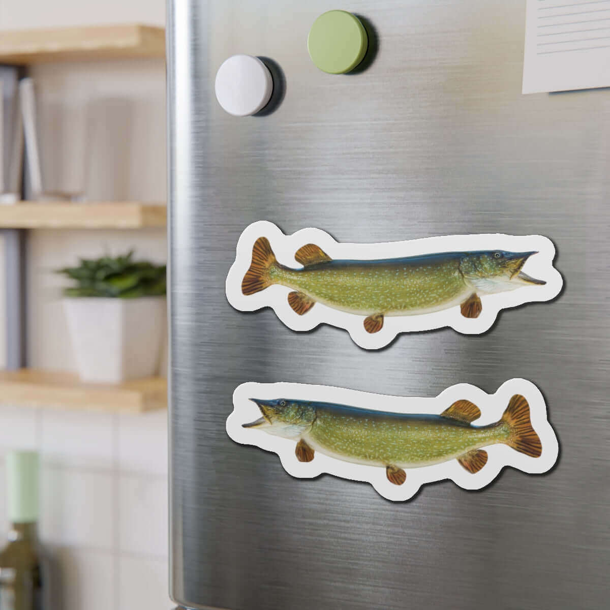 Northern Pike fish shaped magnets on a fridge, fun kitchen décor for fishing enthusiasts.