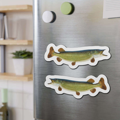 Northern Pike fish shaped magnets on a fridge, fun kitchen décor for fishing enthusiasts.