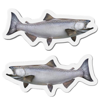 Chinook Salmon Fish Shaped Magnets for Fishing Fridge Décor