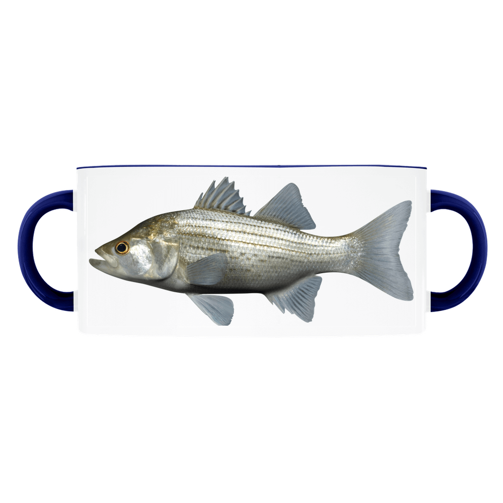 Ceramic mug with double handles featuring a realistic striped bass fish illustration on a white background with blue handles.