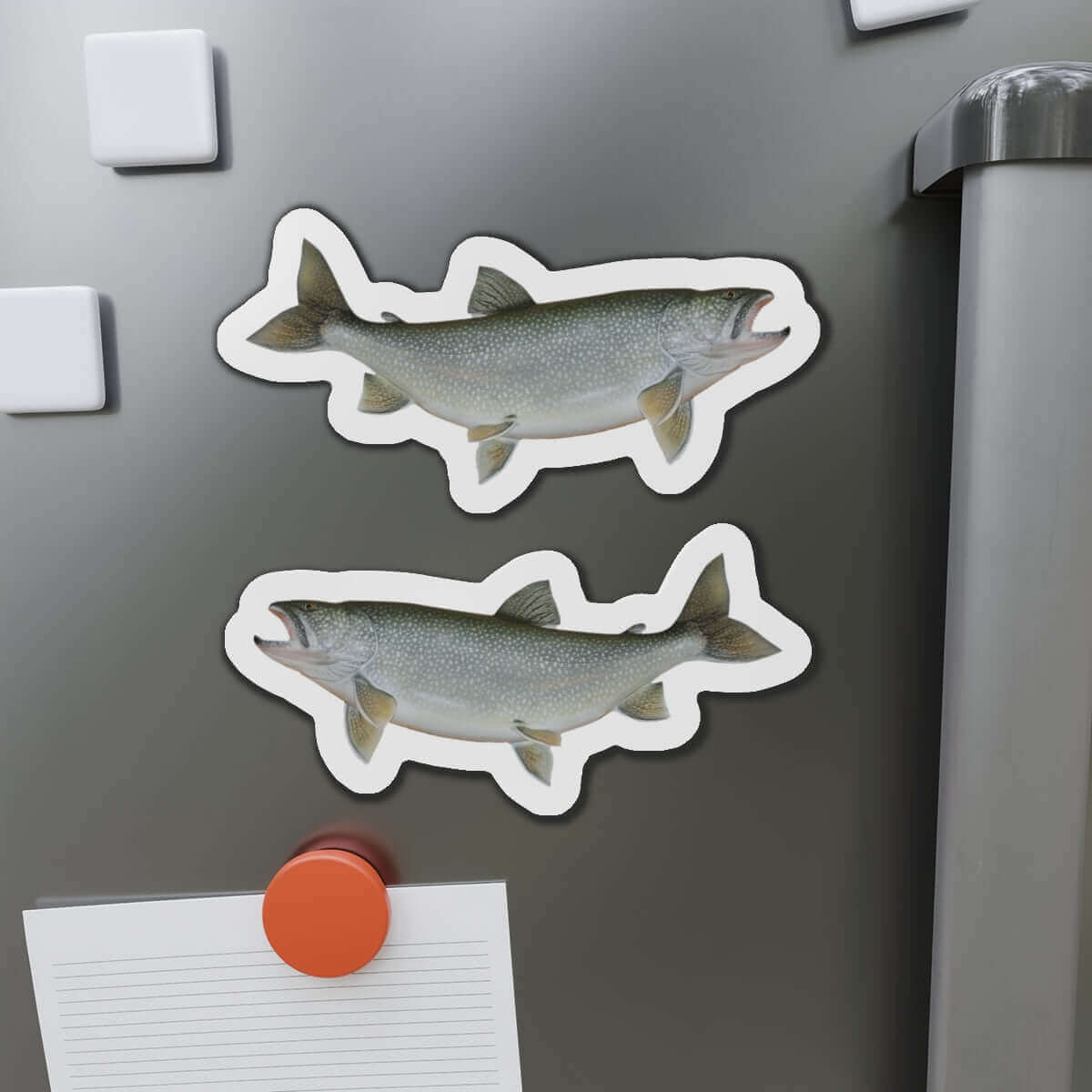 Lake Trout fish shaped magnets on fridge, perfect for fish décor and fun kitchen magnets.