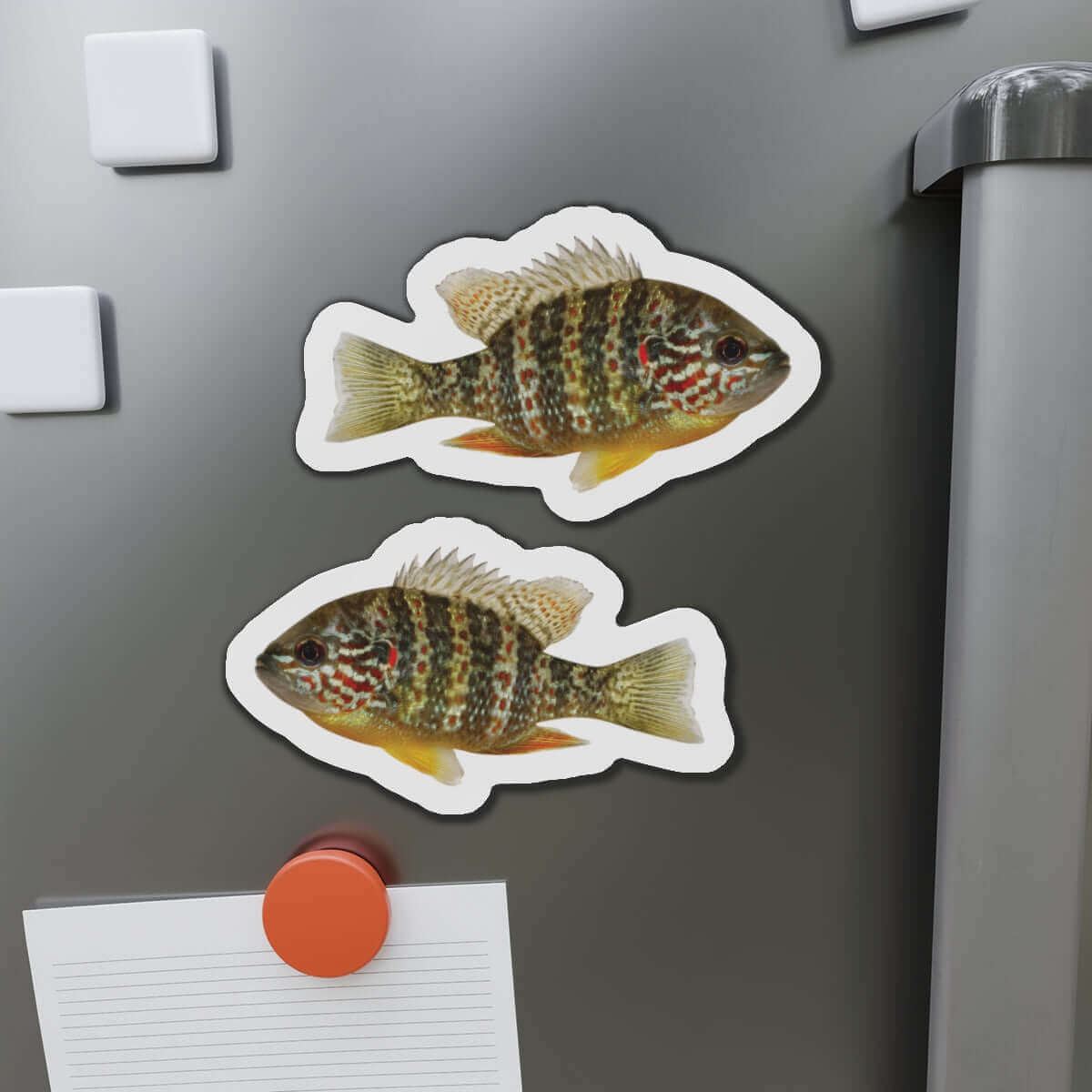 Pumpkinseed Sunfish shaped magnets on fridge, perfect for fish décor and fun kitchen magnet collection.