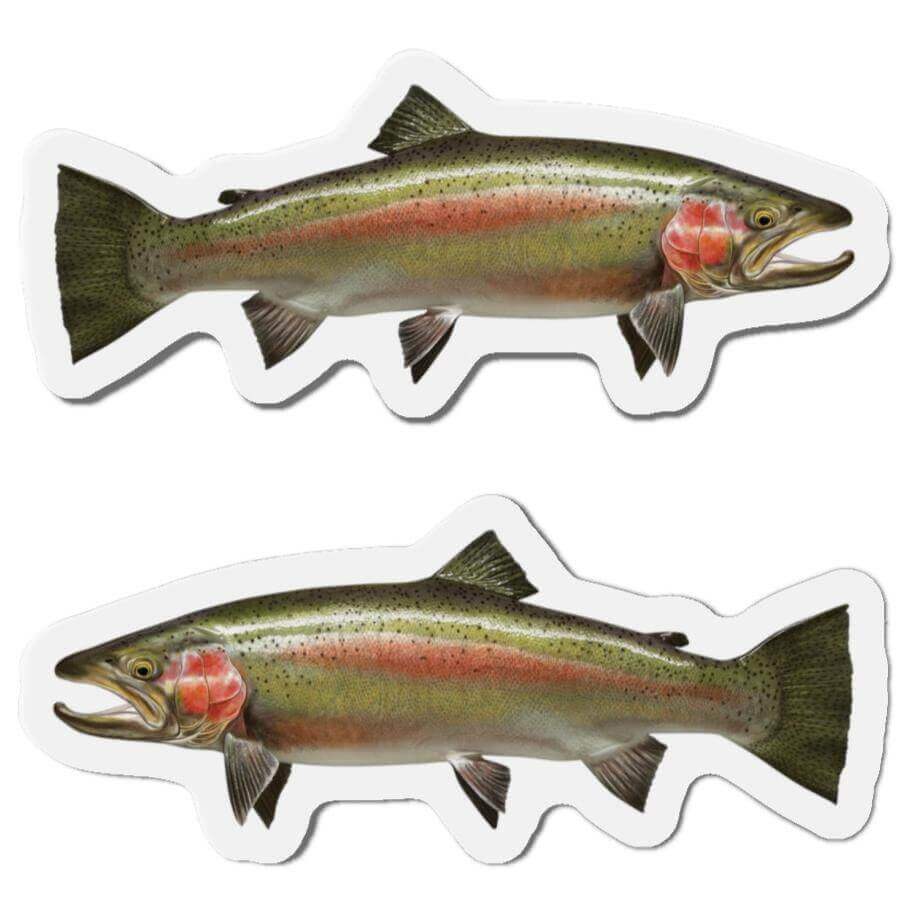 Steelhead Trout fish shaped magnets for fun kitchen or fishing fridge décor