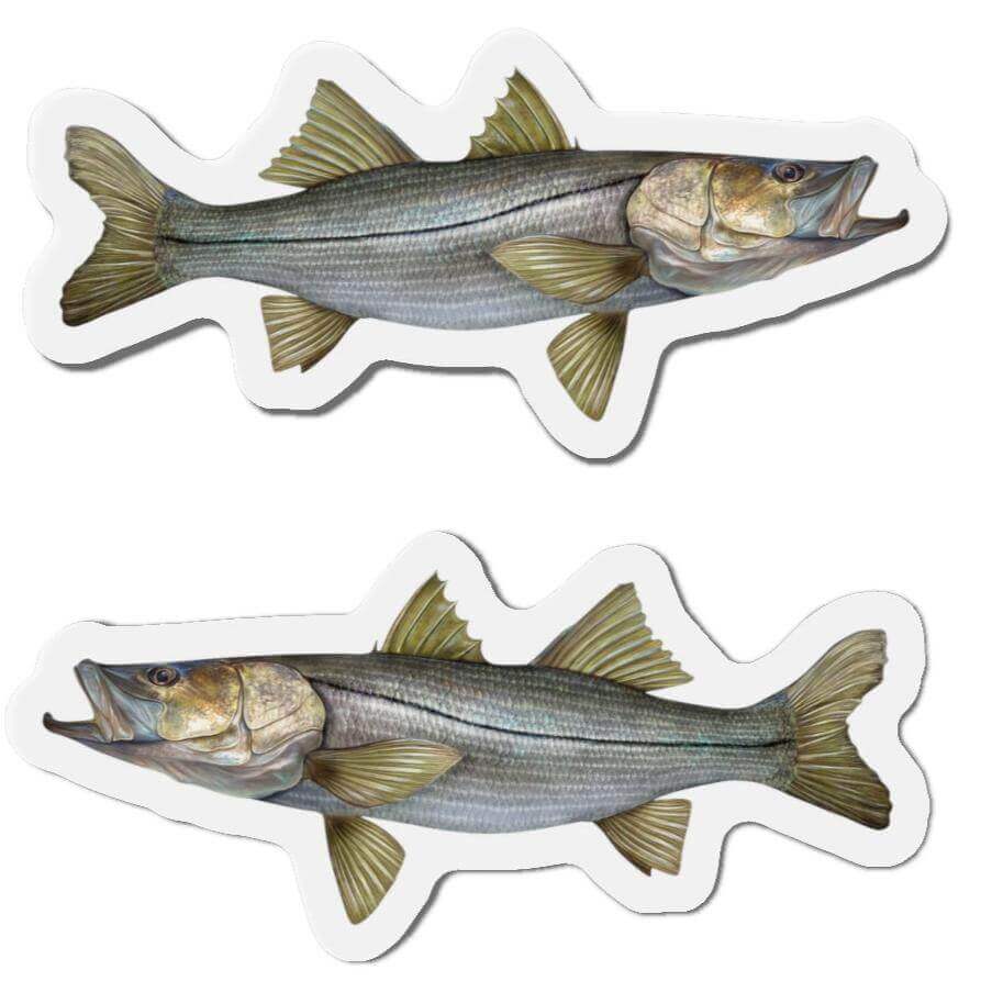 Snook fish shaped magnets in left and right designs for fun kitchen décor