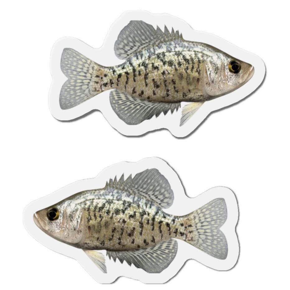 Crappie shaped fish fridge magnets in left and right-facing designs for fun kitchen décor.