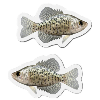 Crappie shaped fish fridge magnets in left and right-facing designs for fun kitchen décor.