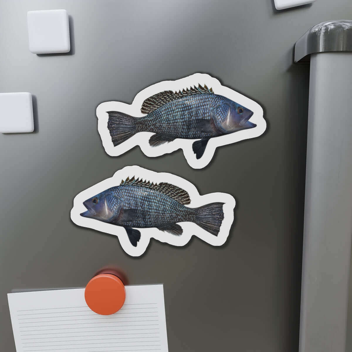 Black Seabass Fish Shaped Magnets on Fridge - Fun Kitchen Décor