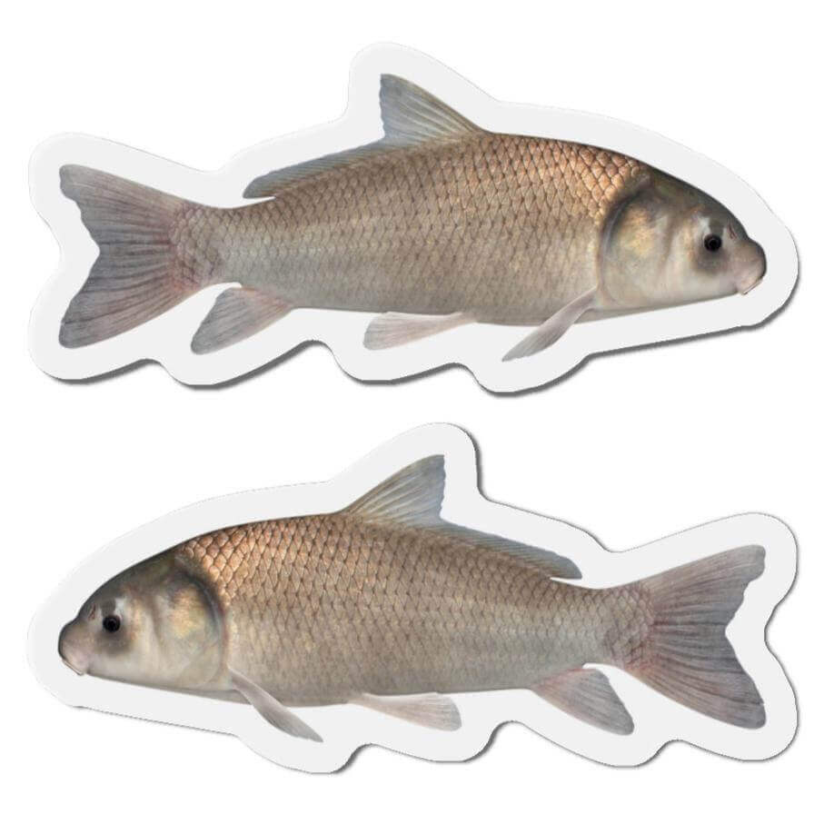 Black Buffalo fish-shaped magnets for fridge décor, showcasing left and right-facing designs for a natural touch.