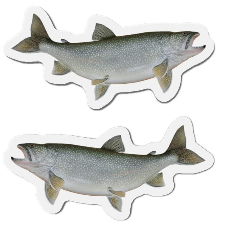 Lake Trout fish-shaped magnets for fun kitchen décor, set of left and right-facing designs.