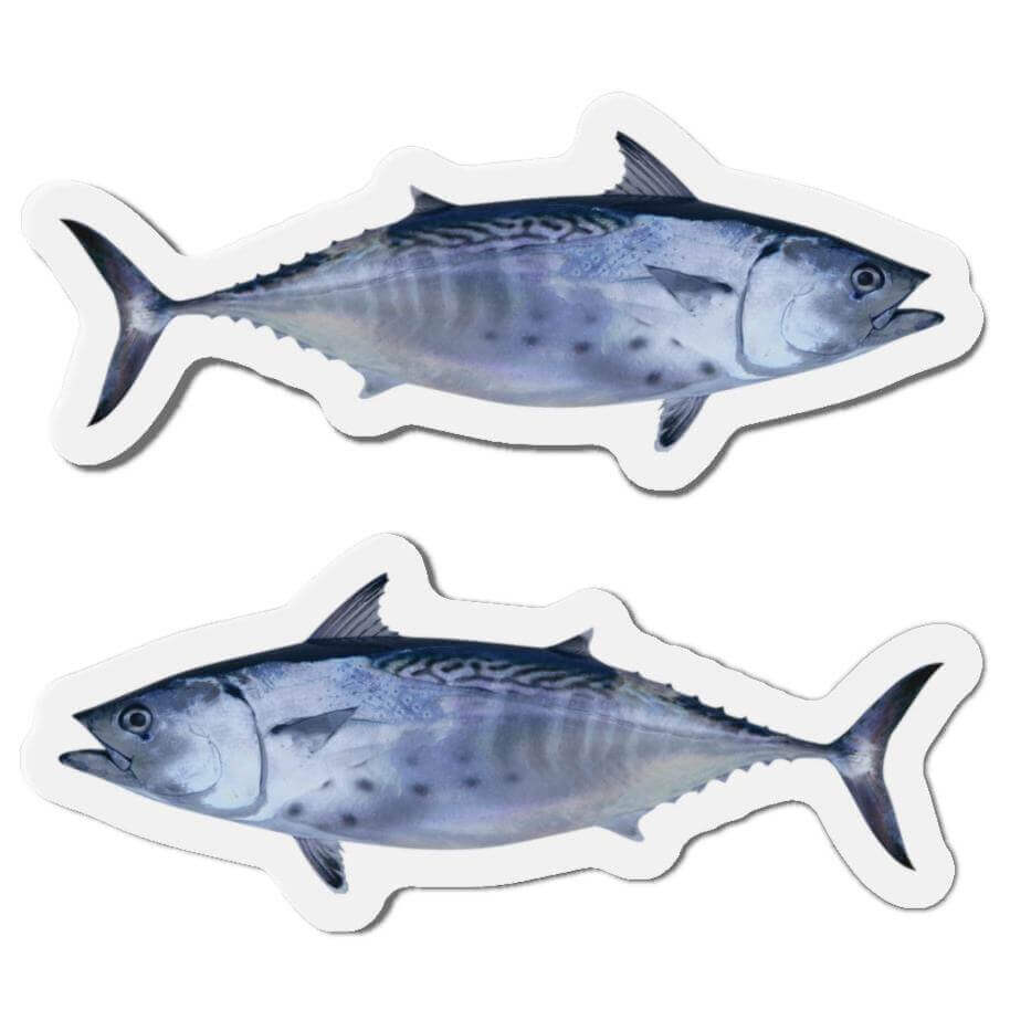 Little Tunny Fish Shaped Magnets with Left and Right Designs for Fish Décor