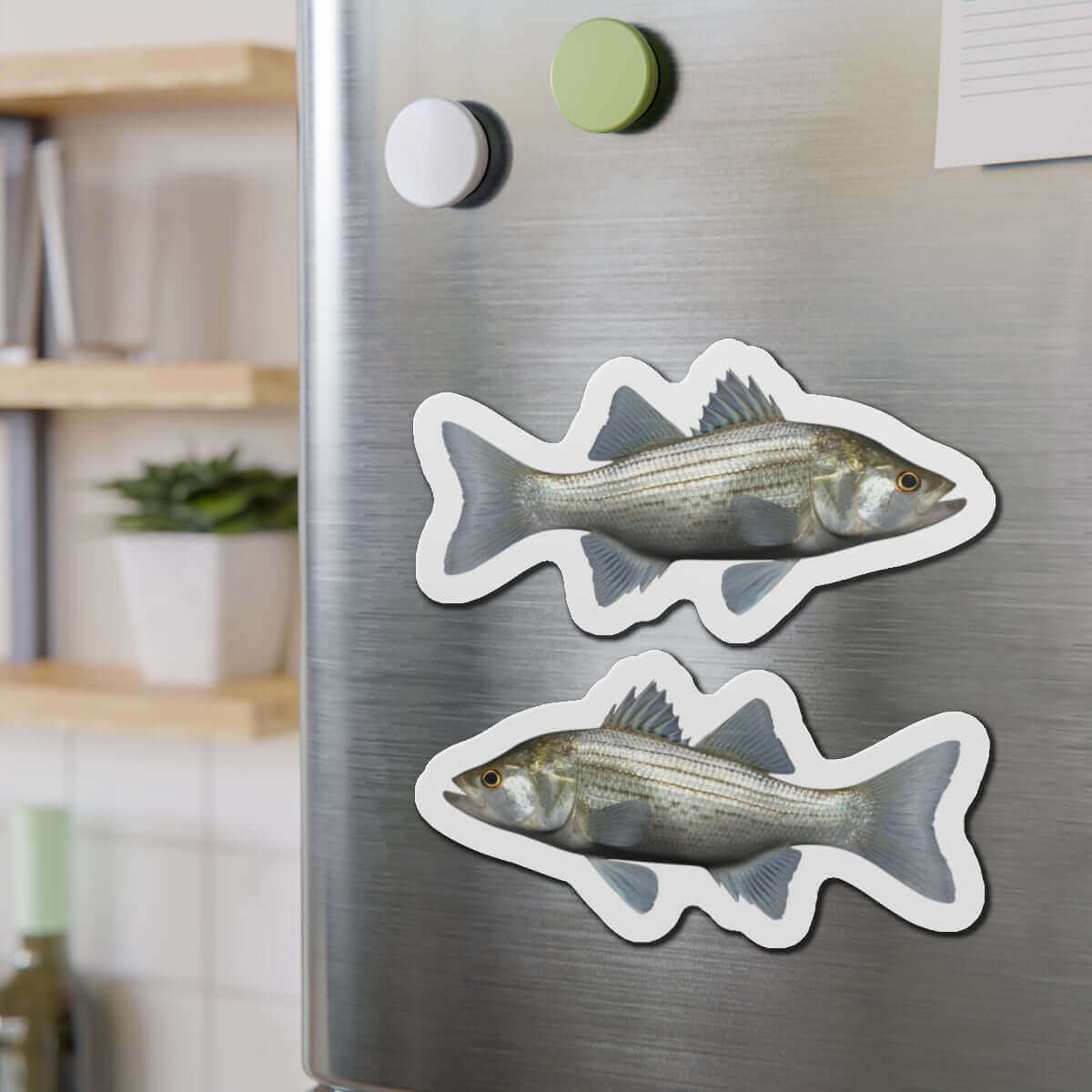 White Bass fish shaped magnets on a fridge, perfect for fish décor and fishing enthusiasts' kitchens.