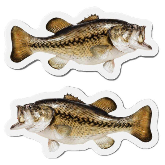 Largemouth Bass fish shaped magnets for fridge décor in left and right facing designs