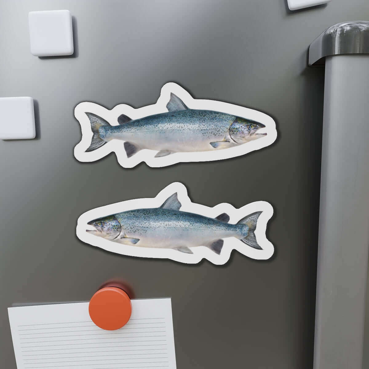 Atlantic Salmon fish shaped magnets on fridge surface for fun kitchen décor