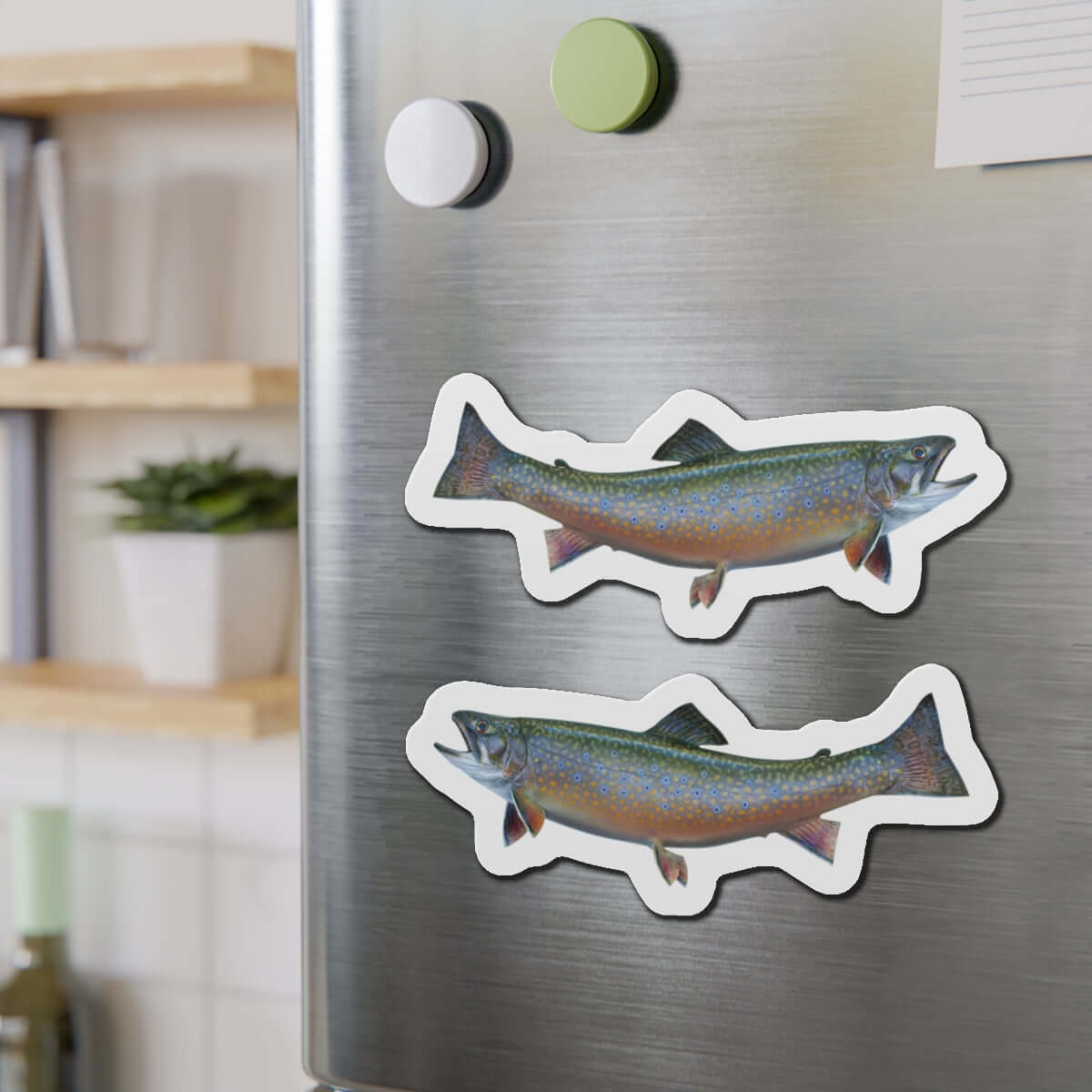 Brook Trout fish magnets on a refrigerator, perfect for fishing enthusiasts and nature lovers.