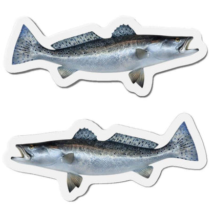 Spotted Seatrout fish shaped magnets set for fun kitchen décor