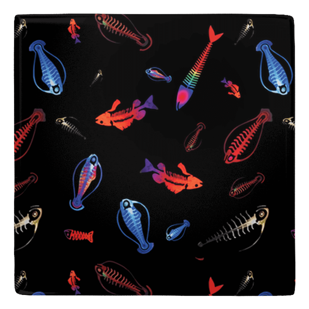 Colorful plankton deep sea fish shaped magnets with vibrant fish décor design on a black background.