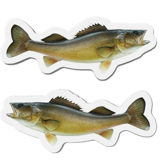 Walleye fish-shaped magnets for fun kitchen décor