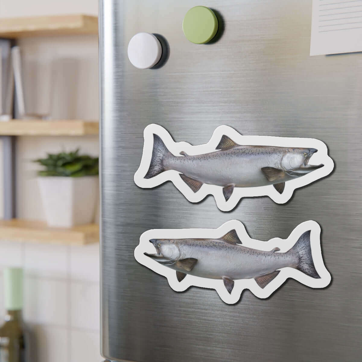 Chinook Salmon fish shaped magnets on refrigerator for fun kitchen décor.