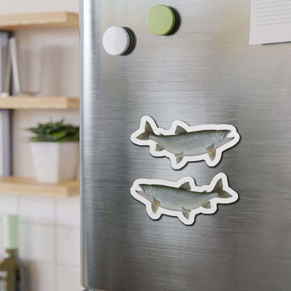 Lake Trout fish shaped magnets on a refrigerator door, perfect for fish décor and fun fridge magnets enthusiasts.